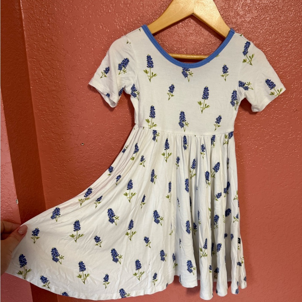 Kyte Baby Bluebonnet twirl dress